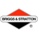 Двигатели Briggs-Stratton в Ярославле